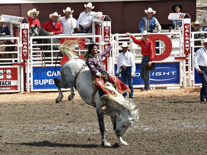 Calgary Stampede